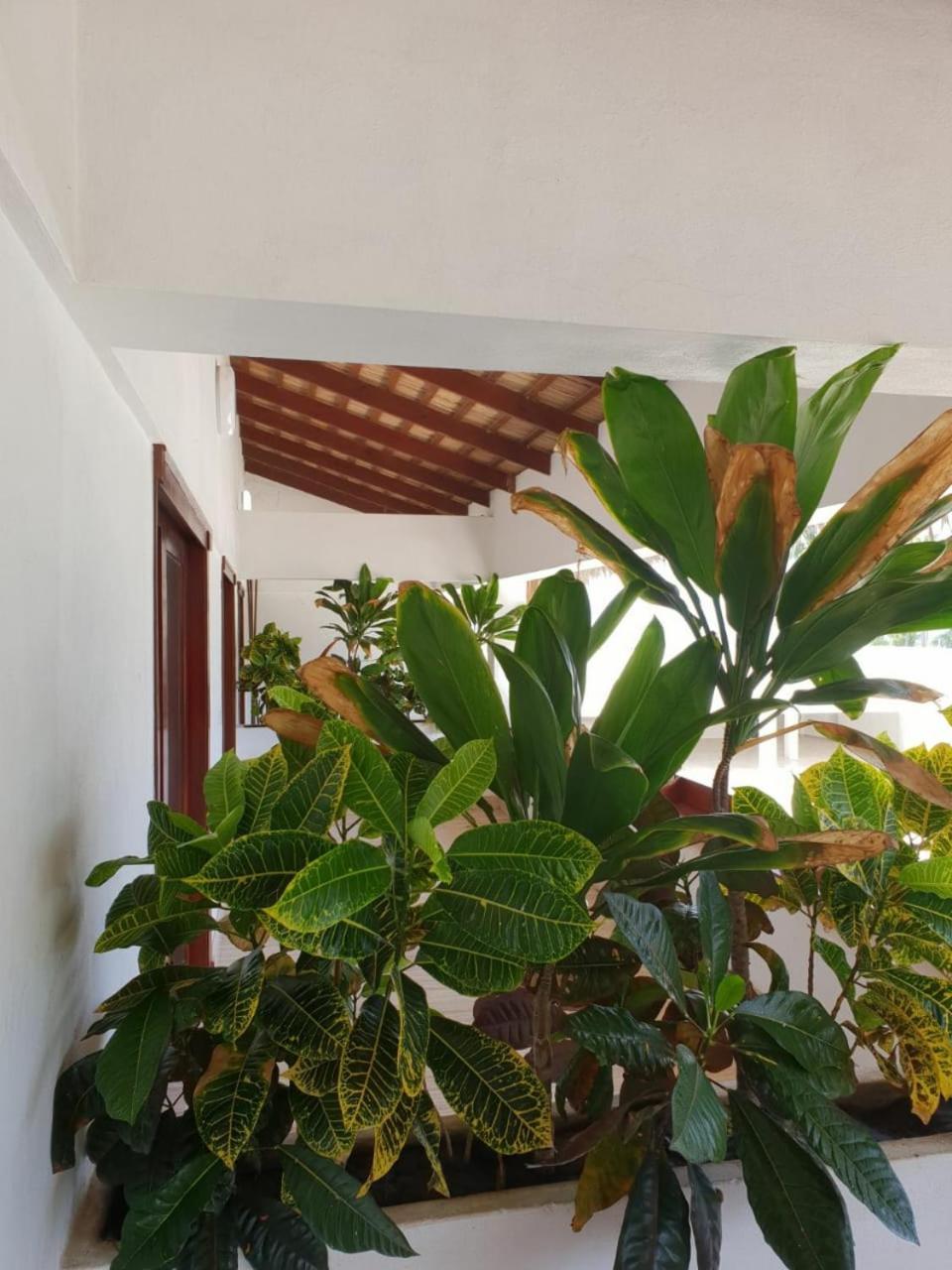 Oasi Encantada - Beach Resort Barahona Exterior foto